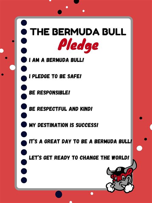 Bermuda Bull Pledge